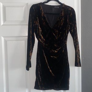 Zara Velvet Cheetah Dress